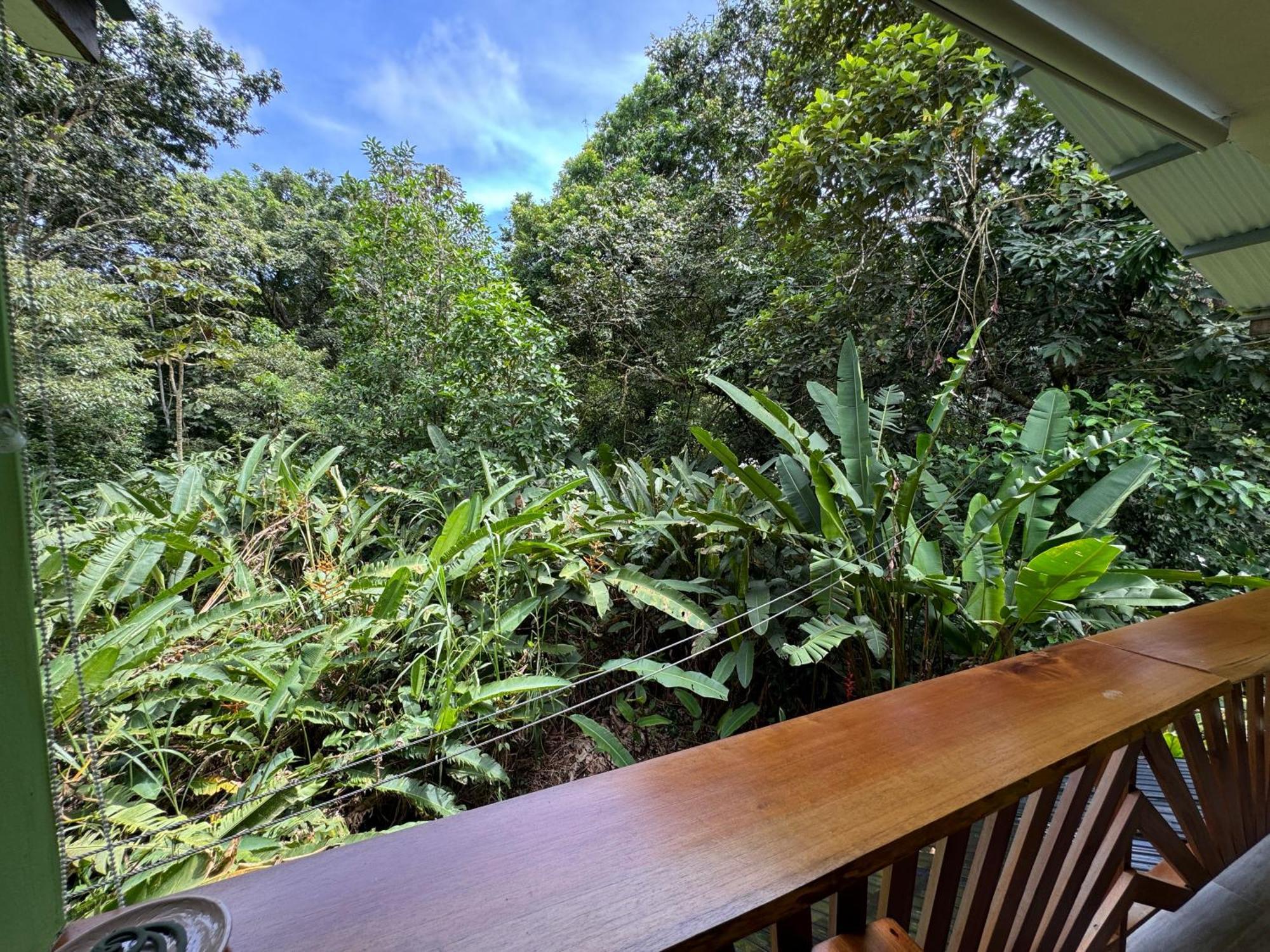 Chilamate Room Tortuguero Eksteriør bilde